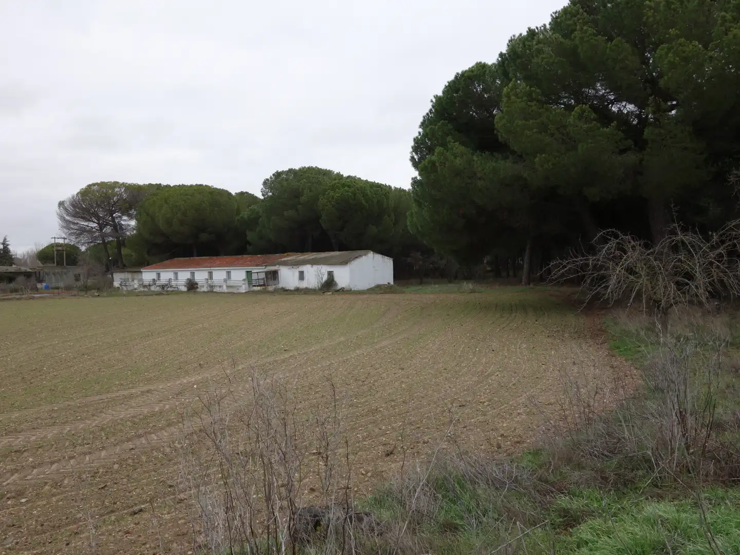 Terreno rustico in vendita a Tudela de Duero, imagen 9