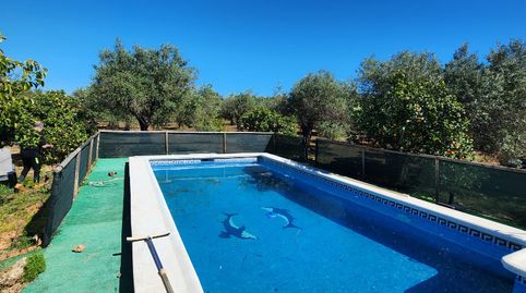 Foto 4 de Casa o chalet de alquiler en Camino las Chafarinas, Buenavista - Lauro Golf, Alhaurín de la Torre