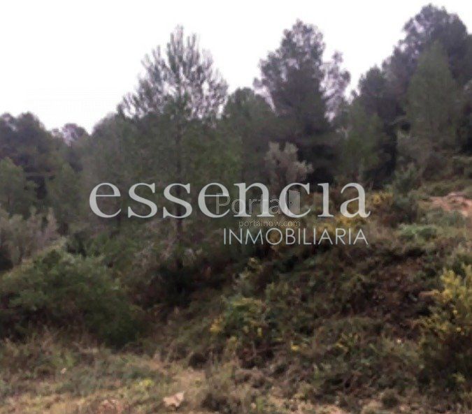 Country house for sale in Oliva