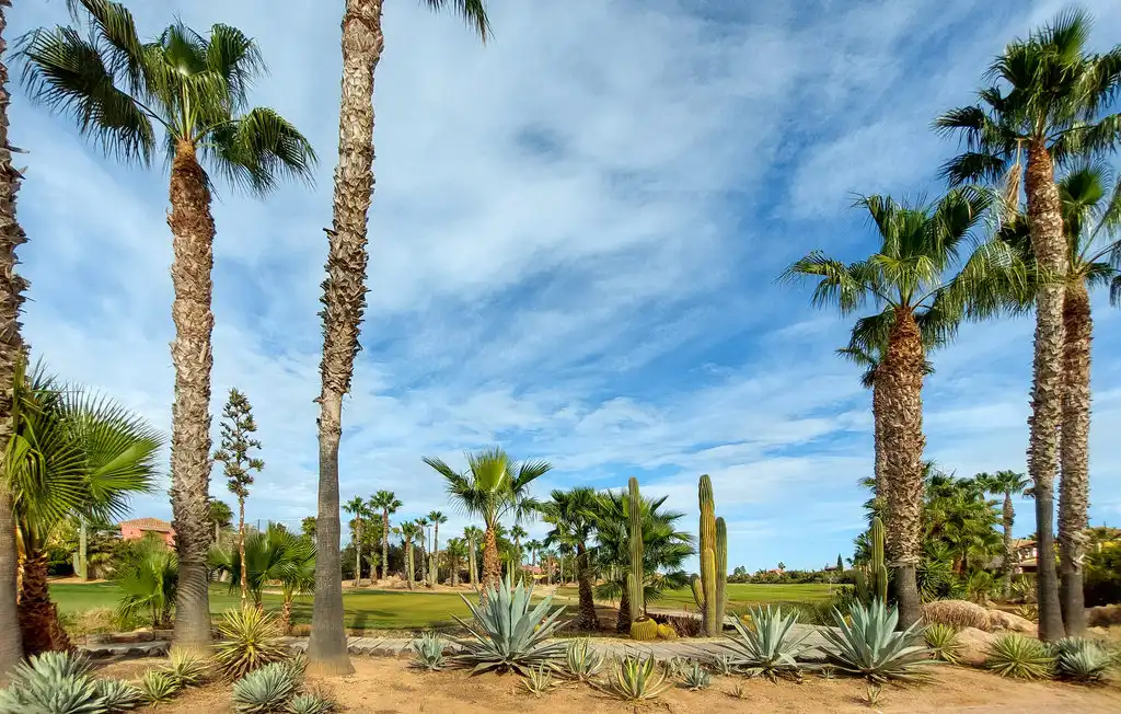 Detached house with pool for sale in Desert Spring Golf, imagen 30