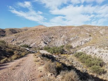 Terreno rustico in vendita a Berja