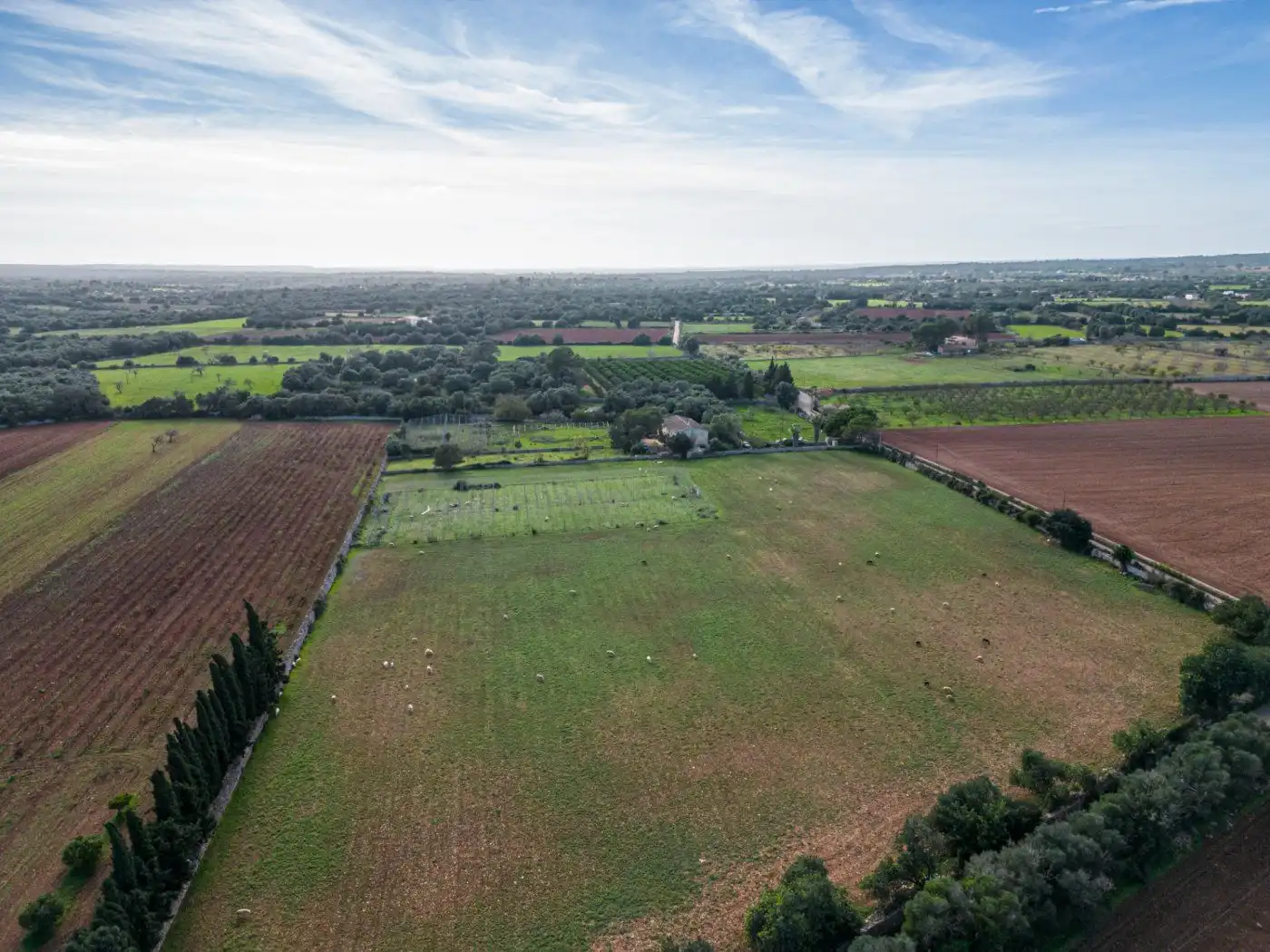 Residential land for sale in S'Horta - Cas Concos des Cavaller - Es Carritxó, imagen 24