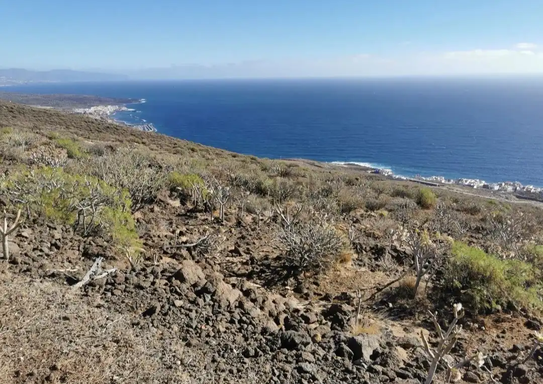 Rural land for sale in Carretera Güimar-Arafo, imagen 4