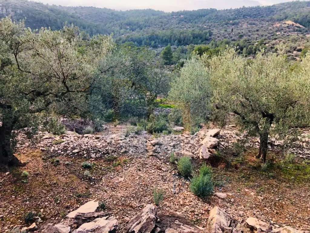 House for sale in PARCELA 3 POLIGONO 85Partida Coll de Santa Catalina o Roca Corba, imagen 14