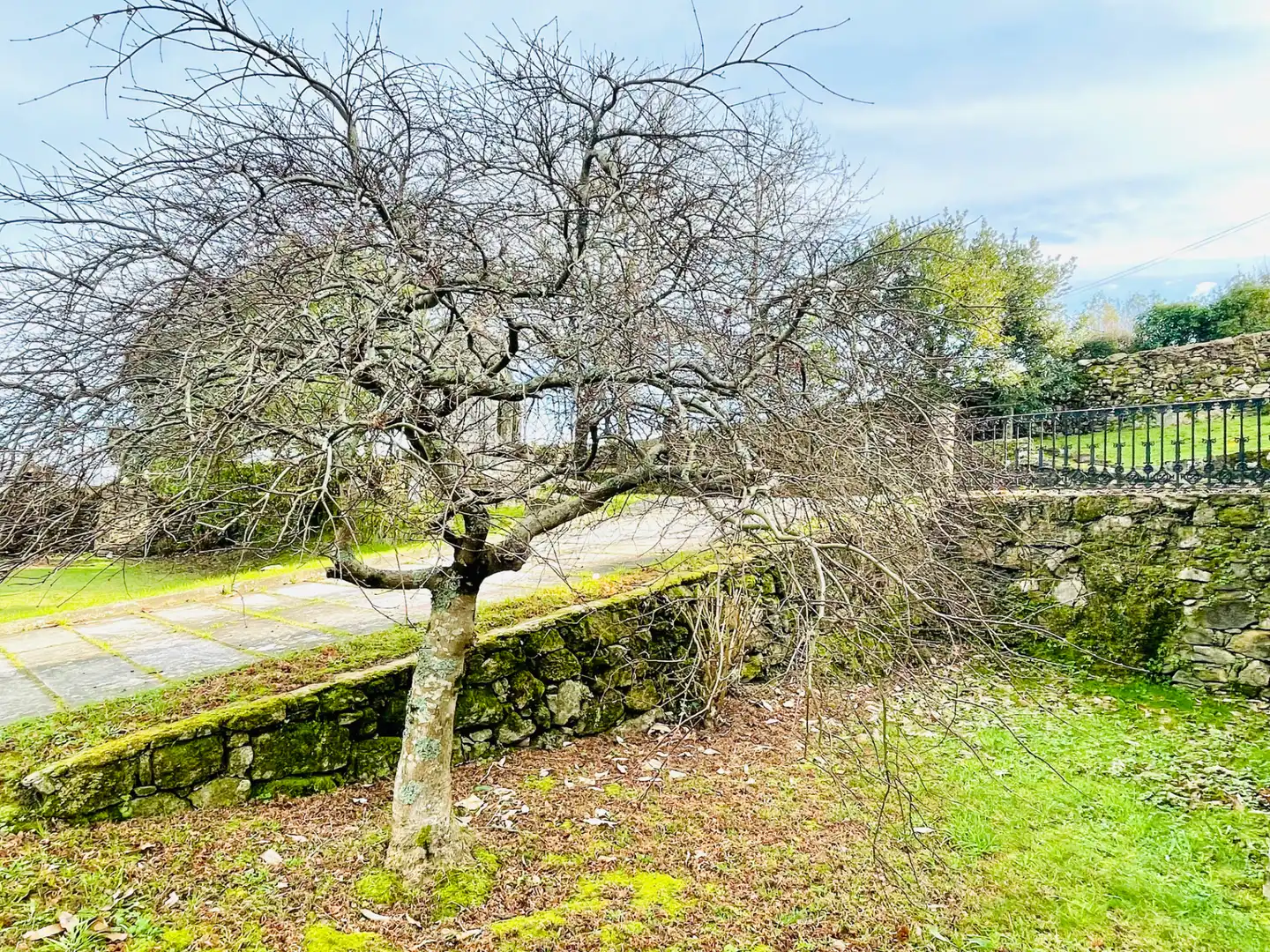 Vista exterior de Finca rústica en venta en Soutomaior con Calefacción, Jardín privado y Terraza