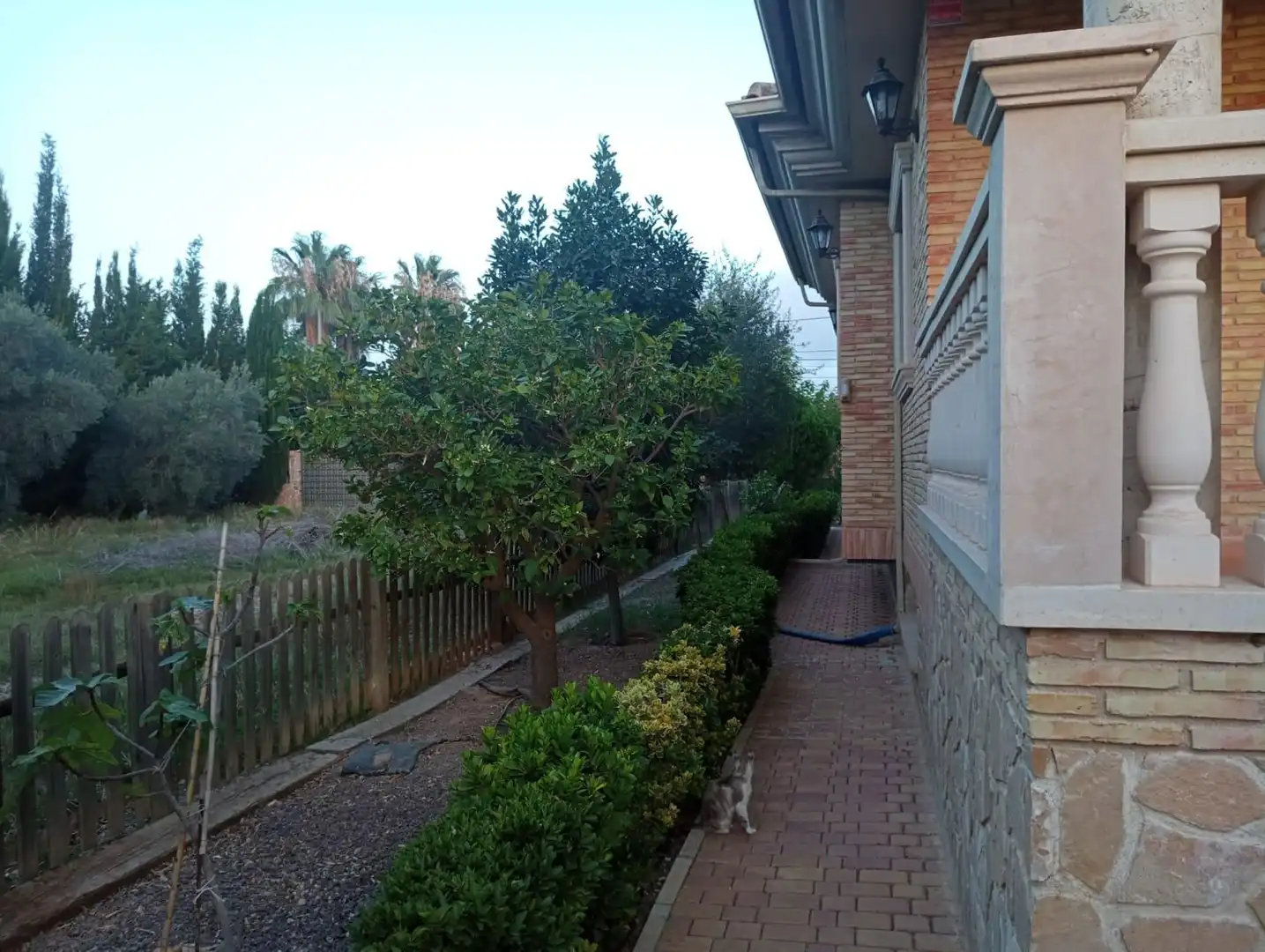 Garden of Houses for sale in Murcia  with Private garden and Terrace