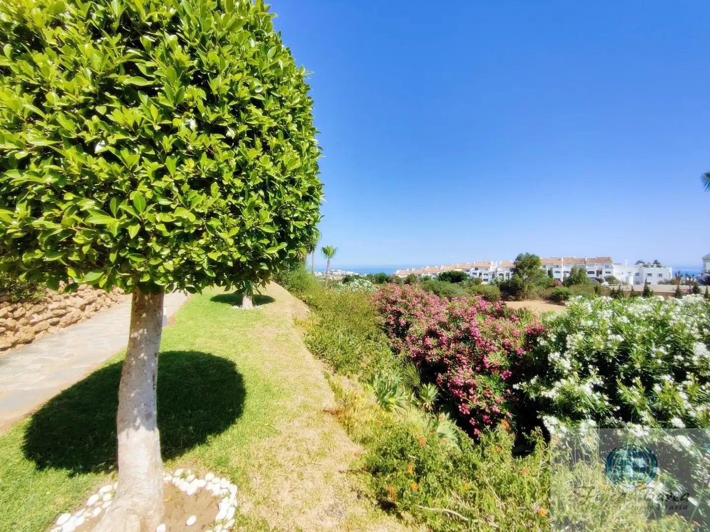 Garden of Flat for rent in Mijas  with Air Conditioner, Terrace and Furnished