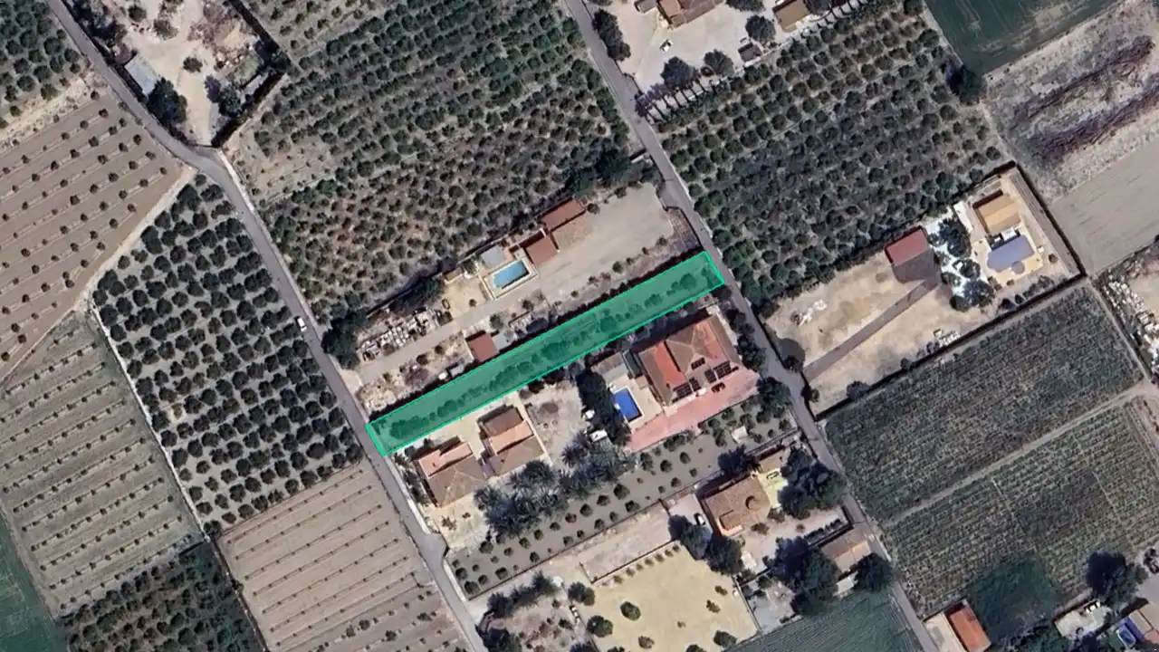 Terreno rustico in vendita a Pt de los Olivares
