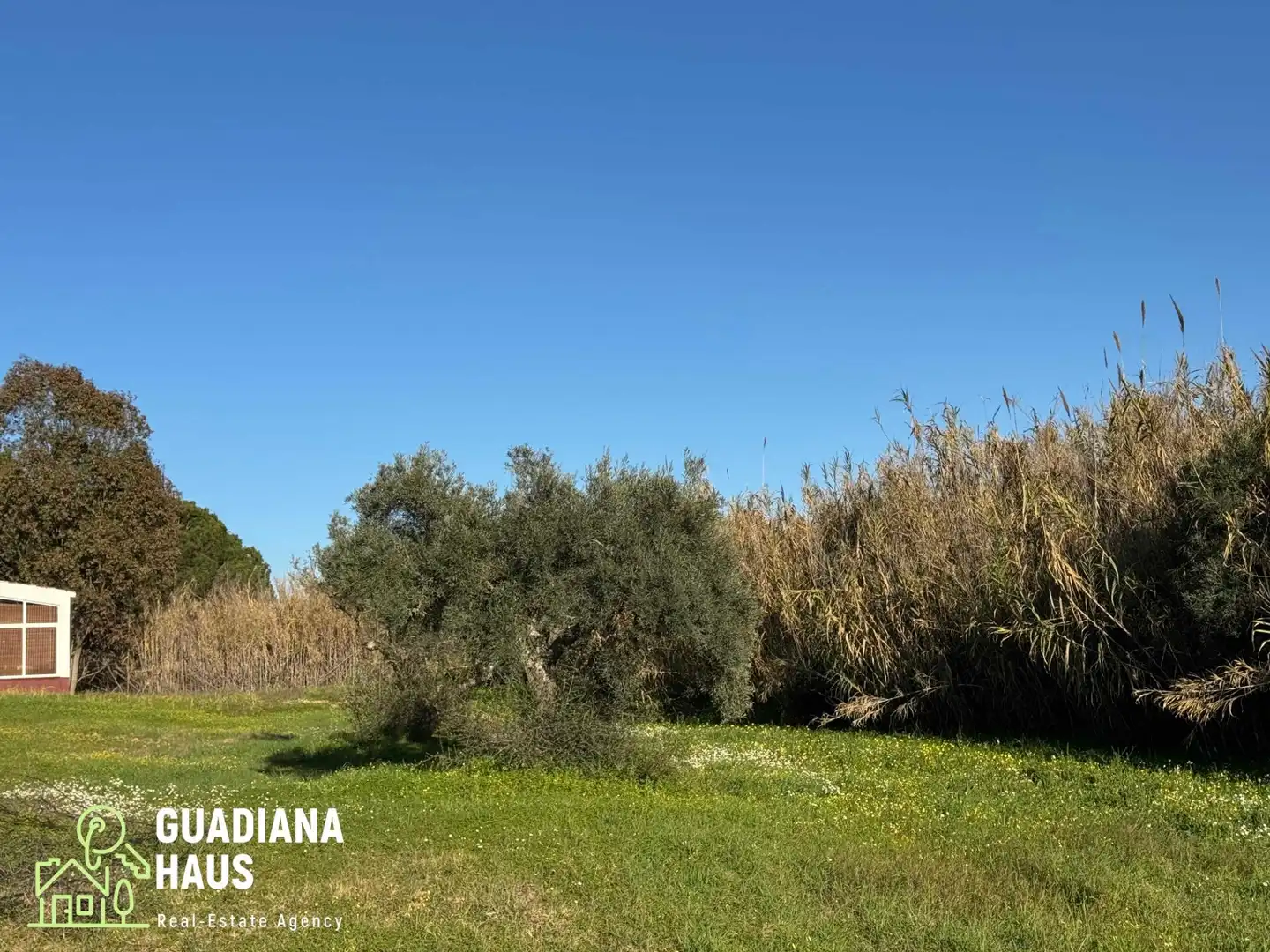 Finca rústica en venda en Villablanca