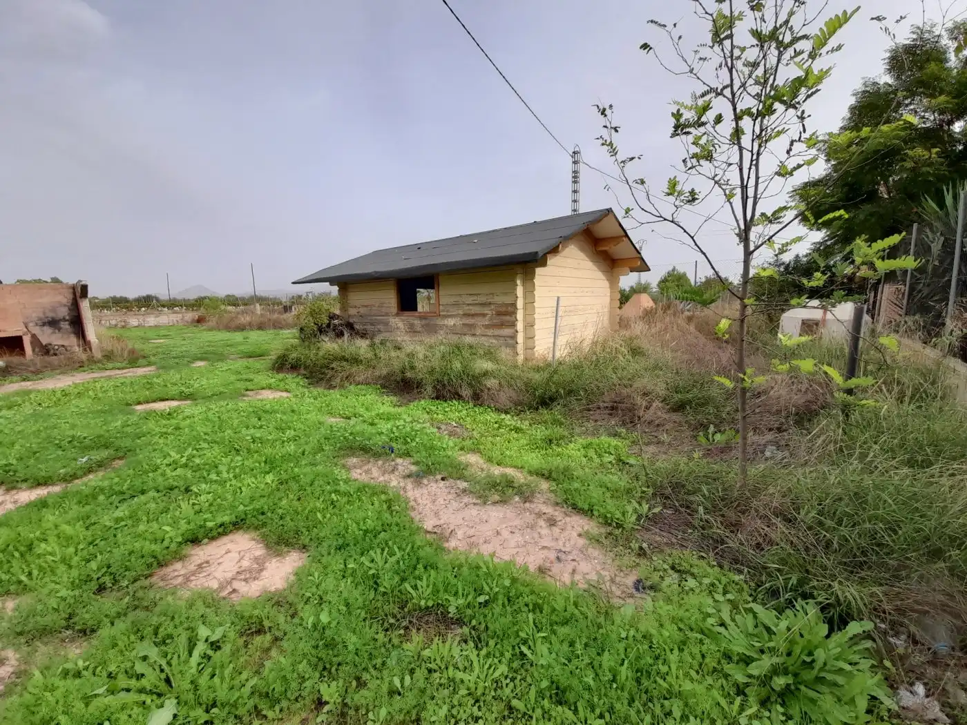 Casa o xalet en venda en Novelda amb Terrassa i Alarma