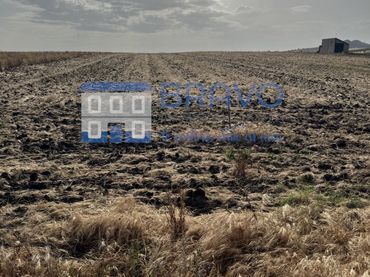 Terrain rustique à vendre à La Haba