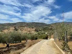 Exterior view of Land for sale in Monda
