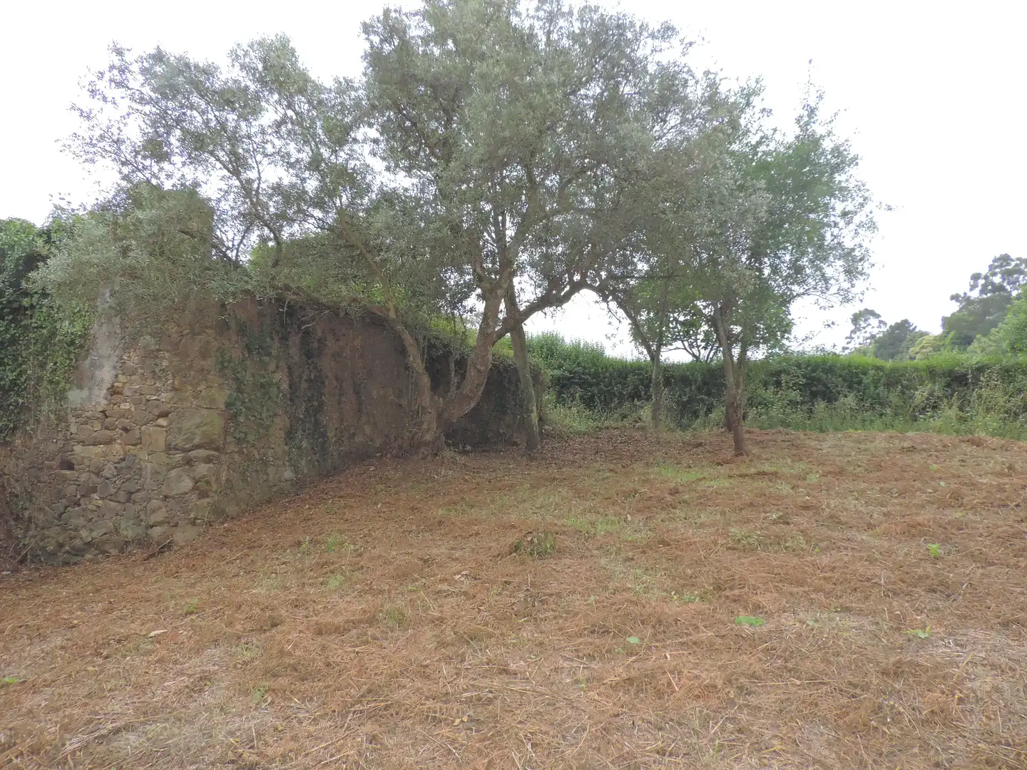 Casa o chalet en venta en A Laracha   con Jardín privado