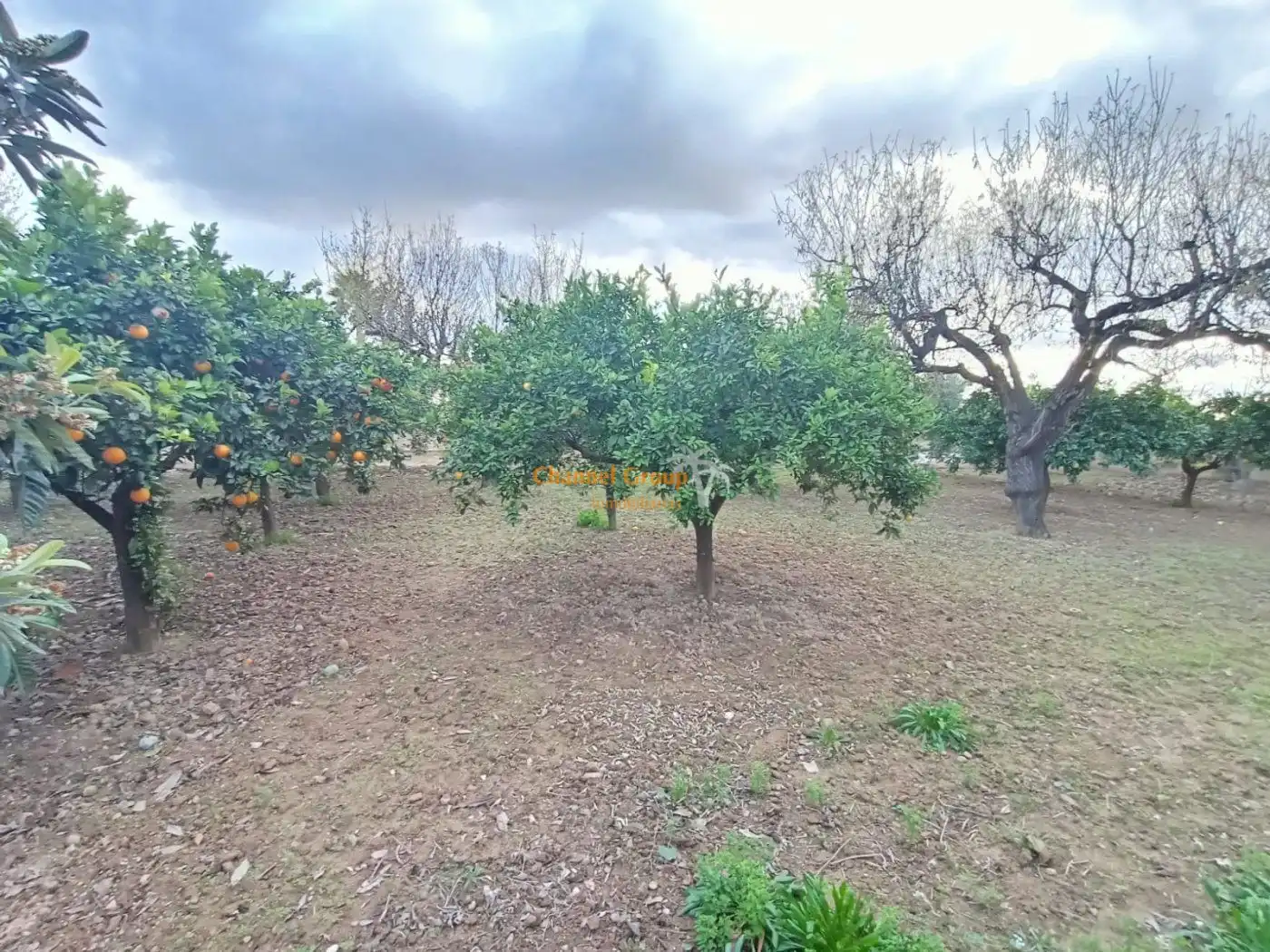 Finca rústica en venta en Ciutat Universitària