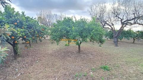 Foto 5 de Finca rústica en venda a Ciutat Universitària, Alicante