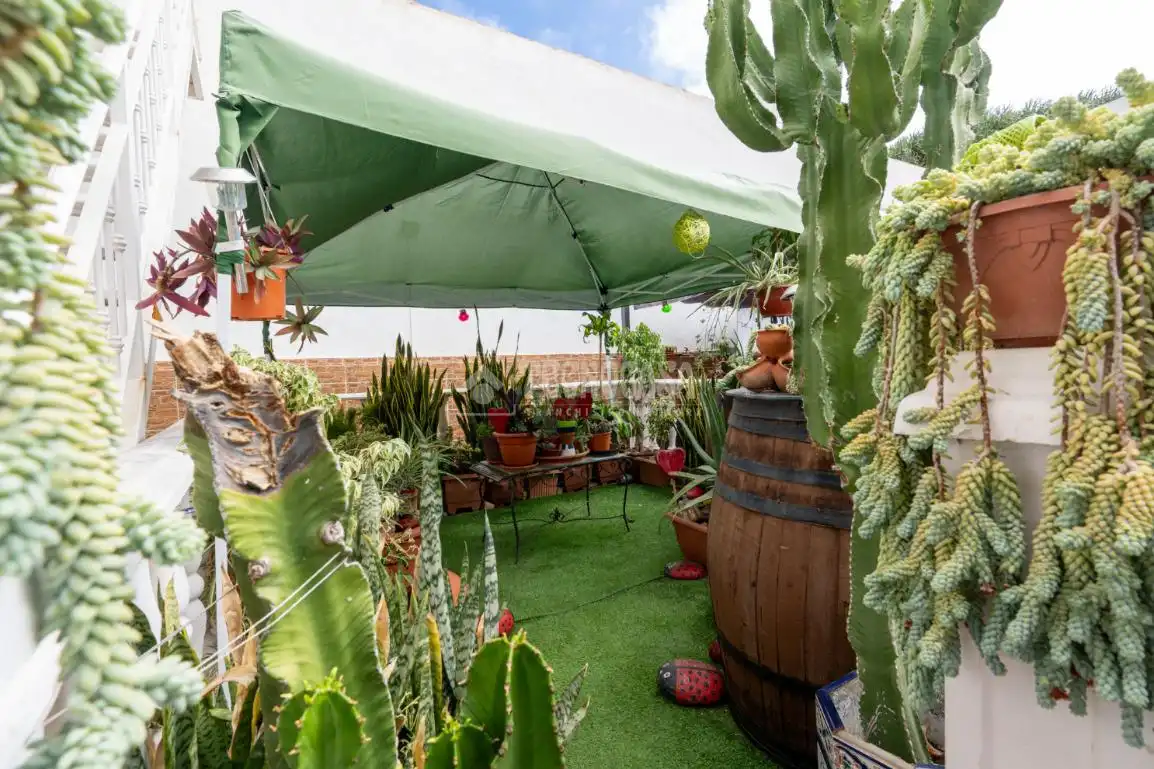 Terraza de Casa o chalet en venta en Arico