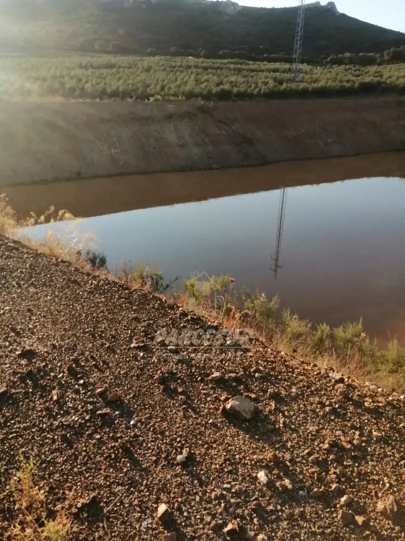 Vista exterior de Finca rústica en venda en La Granjuela