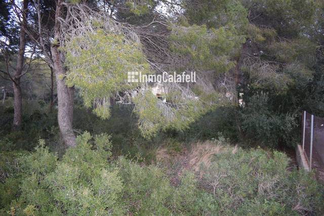 Terreno en Venta en AIGUABLAVA, 17 en Cunit Residencial