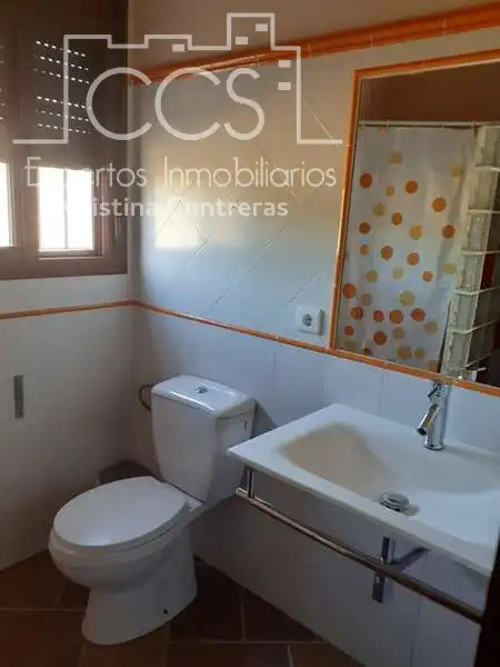 Casa rústica amb jardí en venda a Almonte ciudad, imagen 39