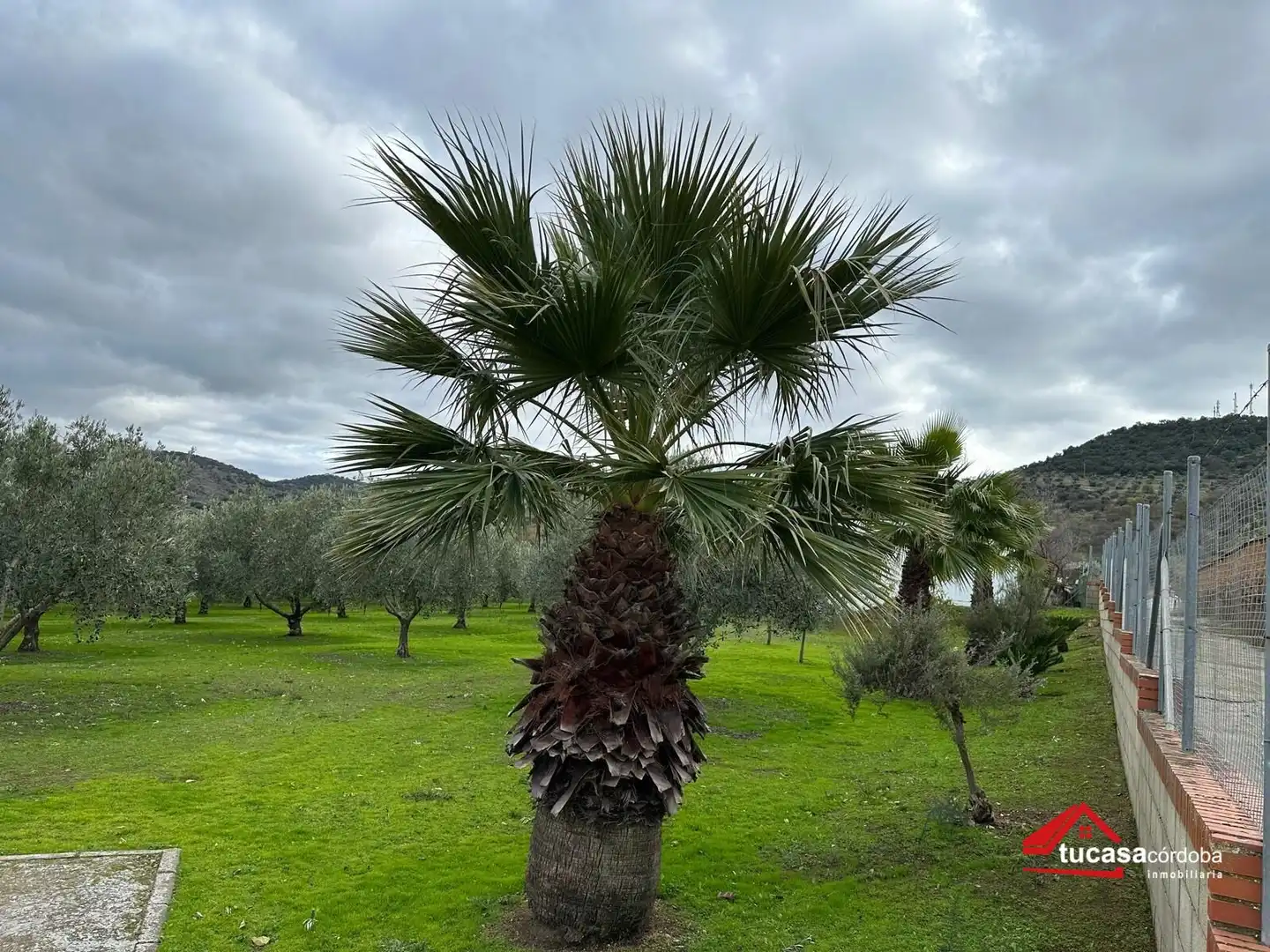 Terreno rustico in vendita a Villanueva del Rey, imagen 6