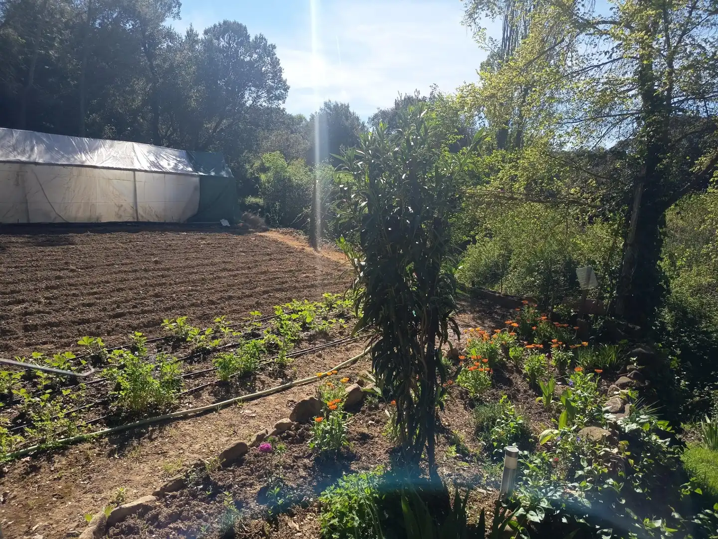 Garden of Land for sale in Leoz / Leotz