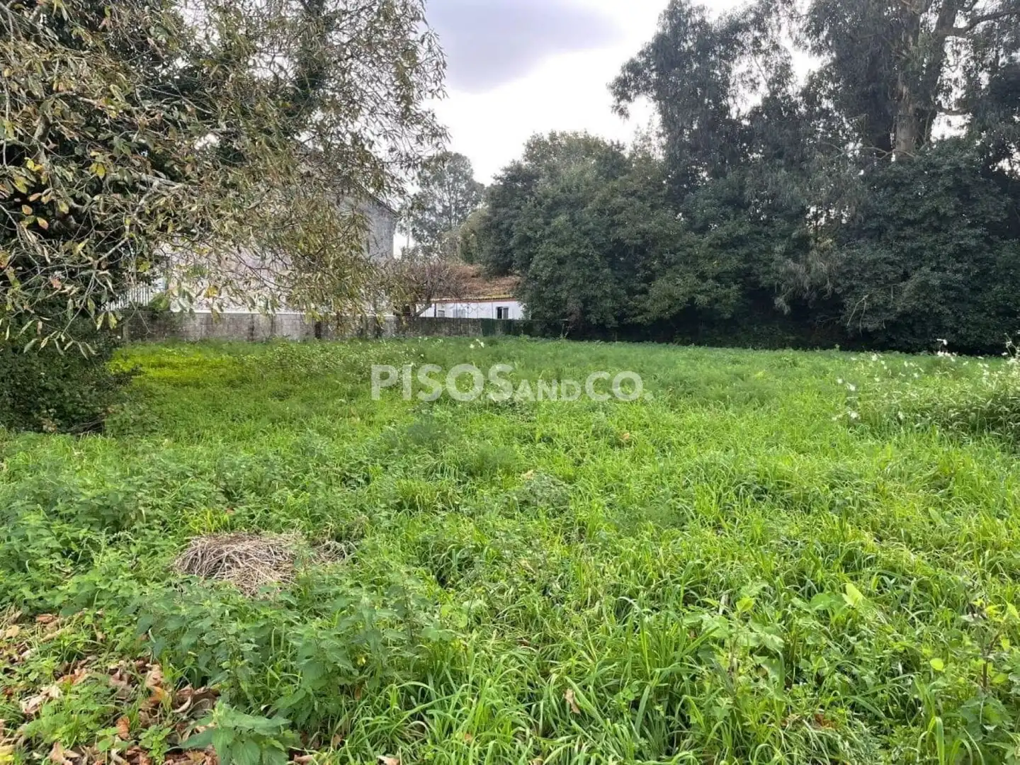 Terreni e lotti in vendita a Emilia Pardo Bazán, imagen 6