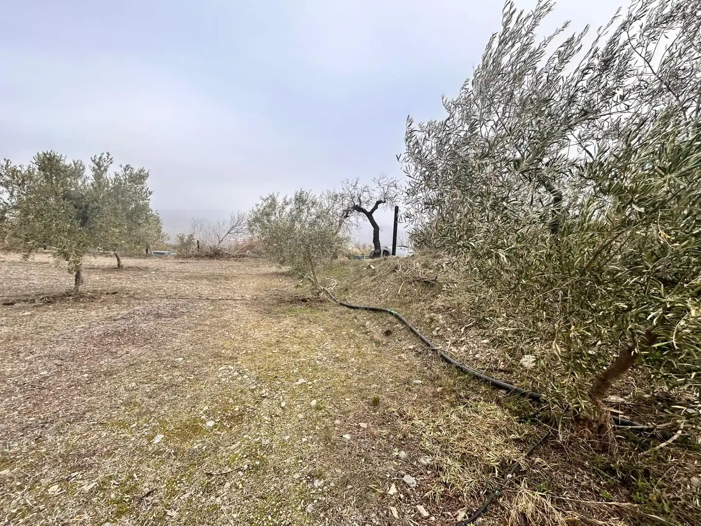 Finca rústica en venda en Abrucena
