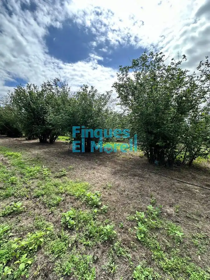 Finca rústica en venta en Vilallonga del Camp