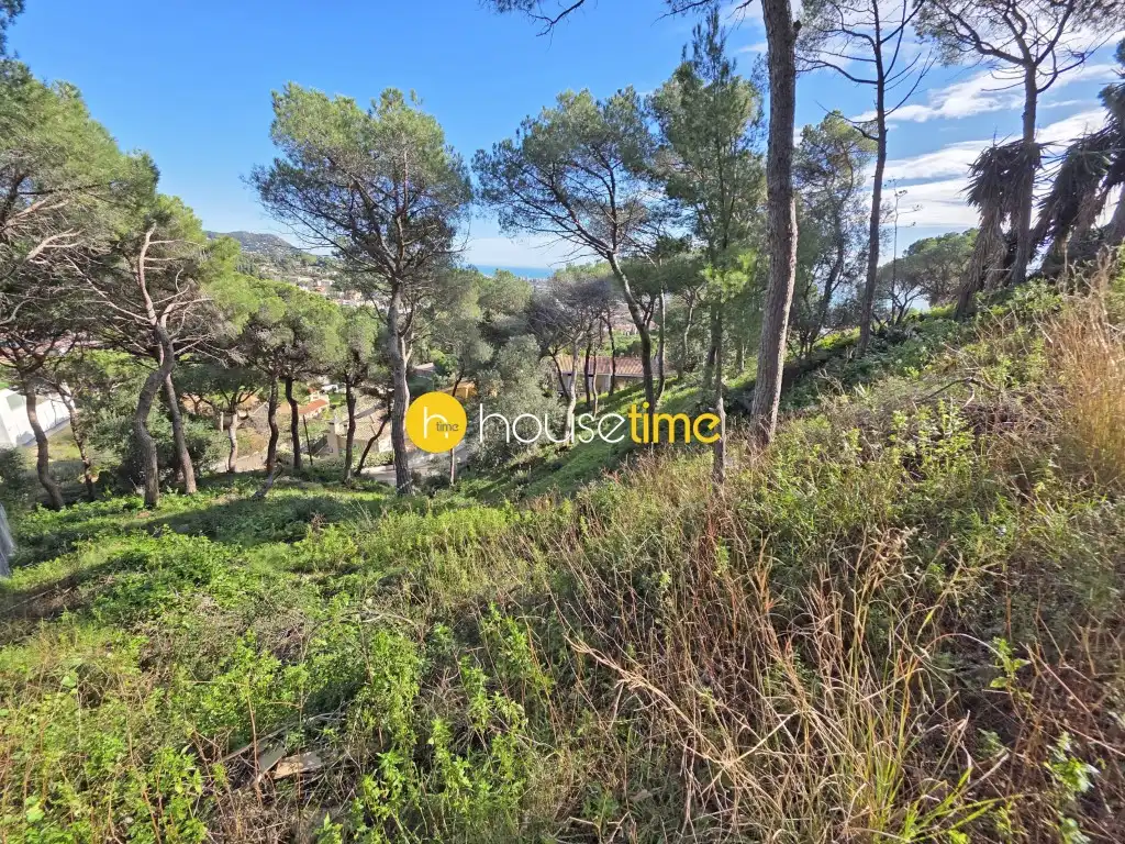 Residential land for sale in Premià de Dalt, imagen 17