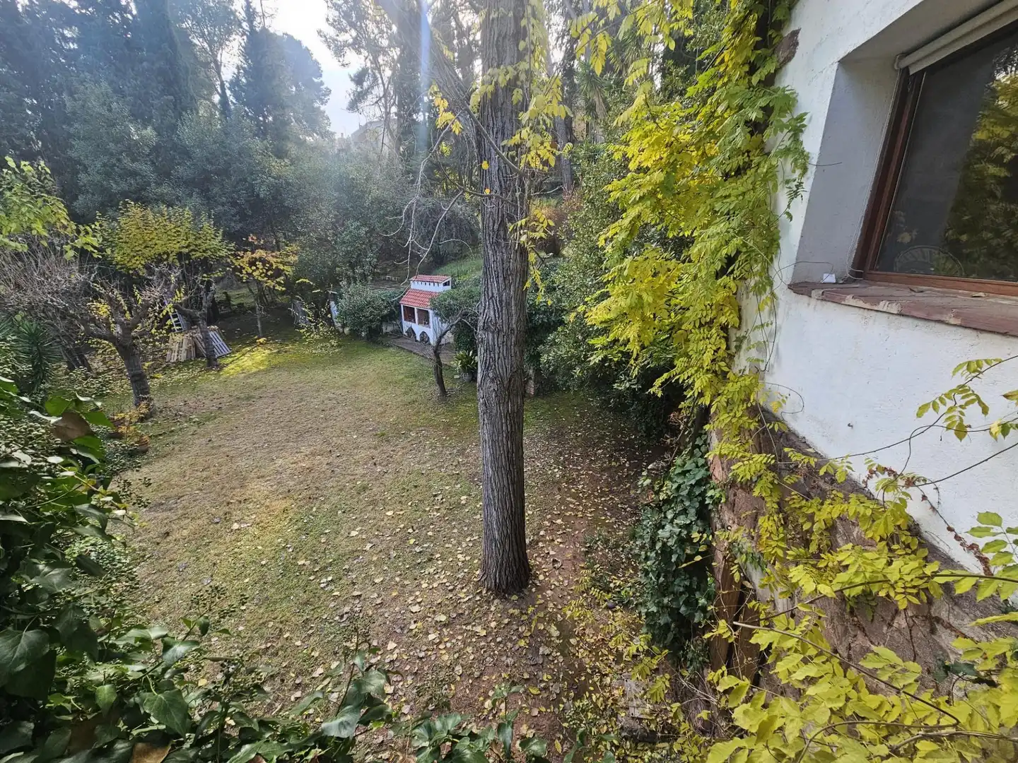 Finca rústica en venta en Castellví de Rosanes