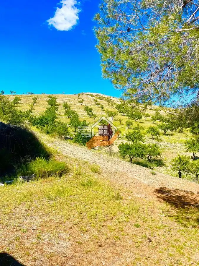 Residential land for sale in Vélez-Rubio, imagen 18