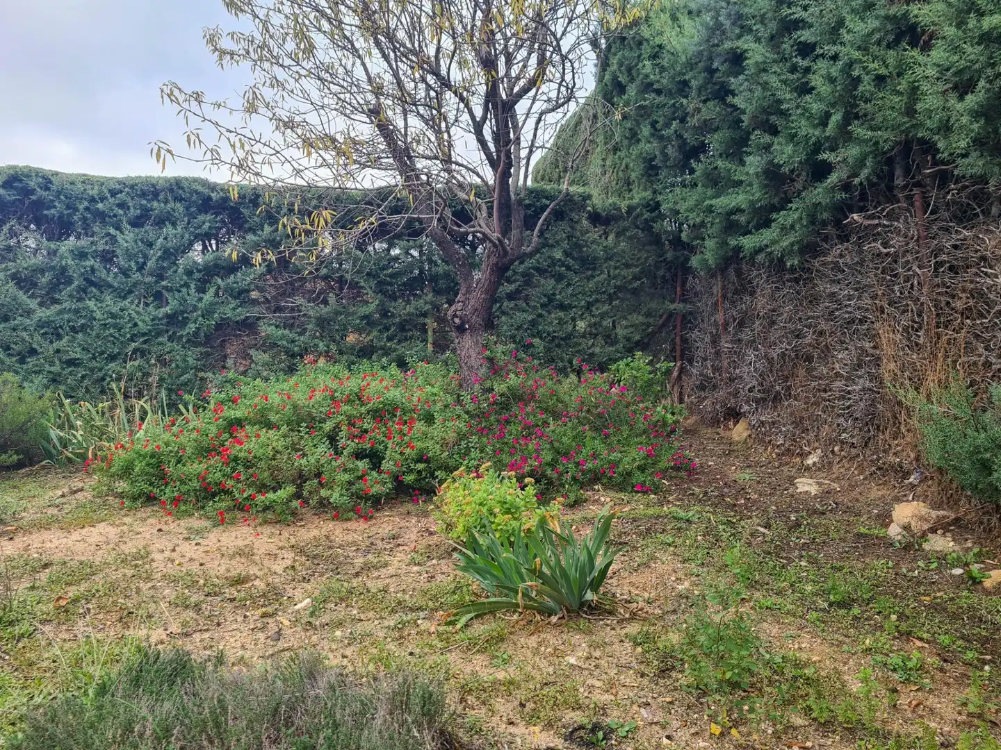 Casa o chalet en venta en El Casar con Terraza, Trastero y Piscina
