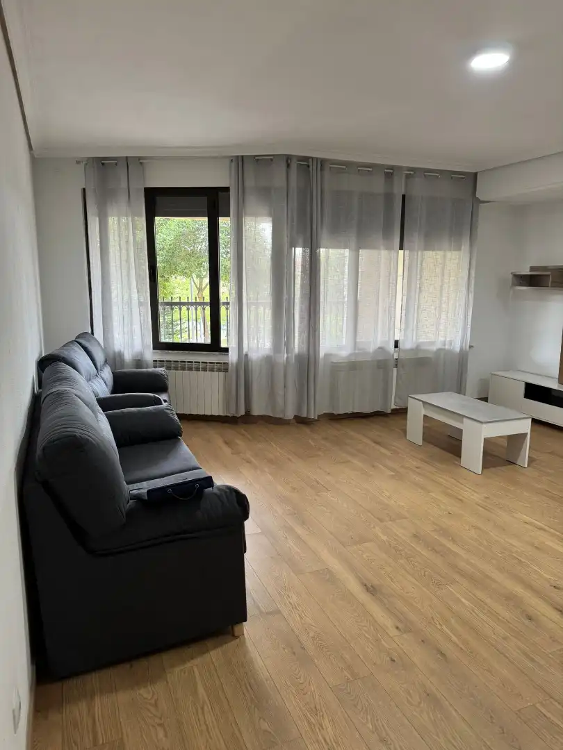 Sala de estar de Piso de alquiler en Salamanca con Calefacción, Parquet y Amueblado