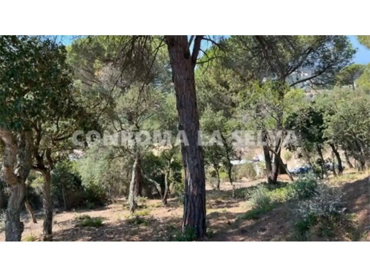 Wohnbaugrundstück zum Verkauf in Lloret Residencial - Montlloret, imagen 3