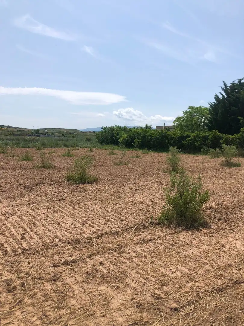 Terreny rústic en venda a Murillo de Río Leza, imagen 13