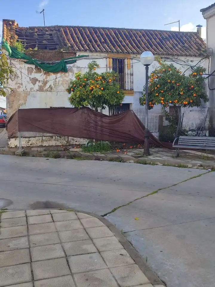 Haus zum Verkauf in Plaza de Andalucía, imagen 6