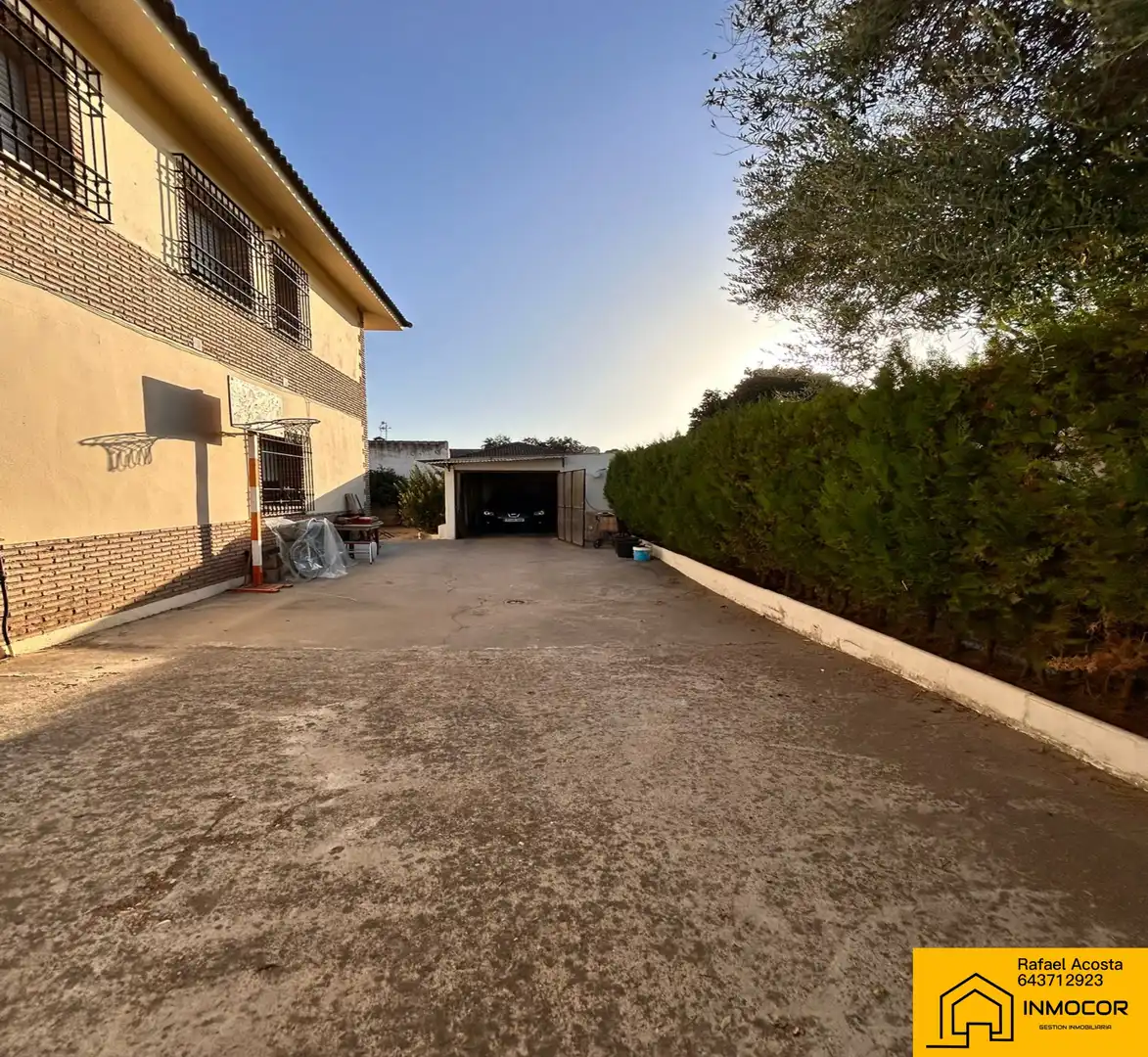 Chalet en venta en Calle Felipa 11G, imagen 4