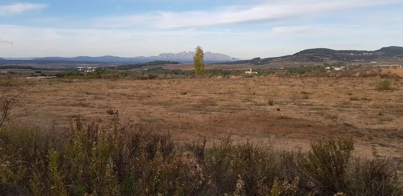 Terreny industrial en venda a Avinyonet del Penedès, imagen 4