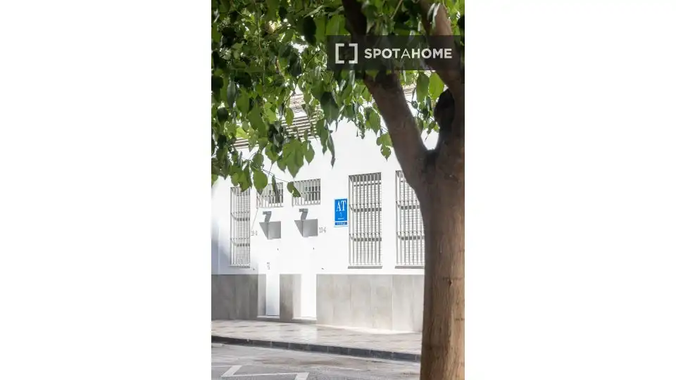 Exterior view of Study for share in Málaga  with Air Conditioner, Terrace and Furnished
