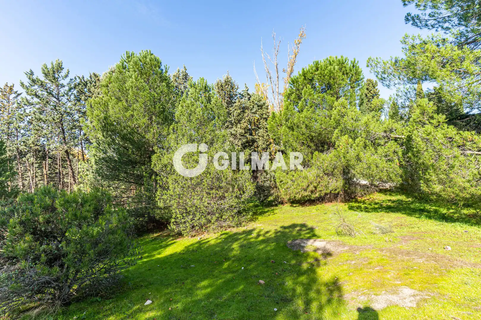 Casa o xalet en venda en Monte Rozas