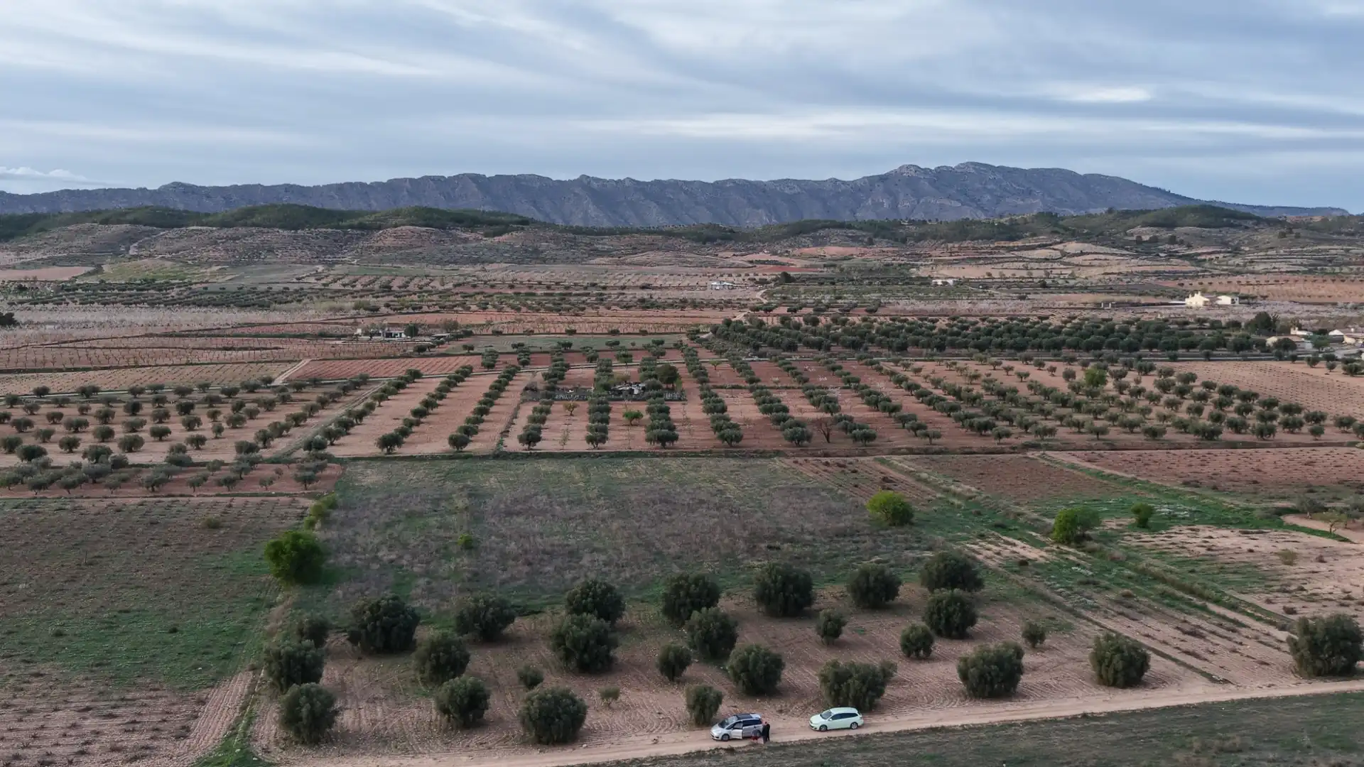 Terreny residencial en venda a Jumilla