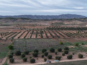 Terreny residencial en venda a Jumilla