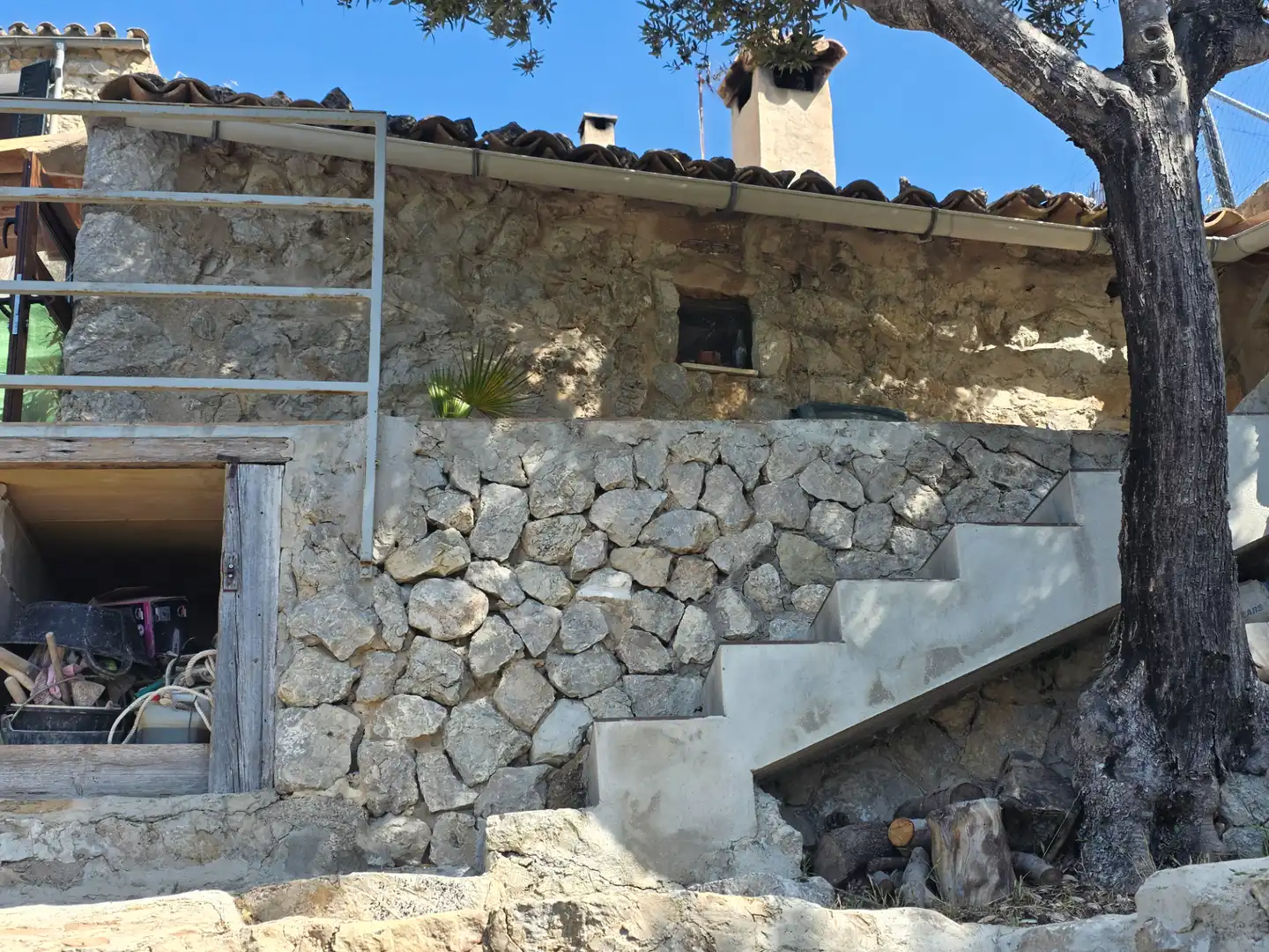 Vista exterior de Casa o chalet en venta en Puigpunyent con Jardín privado