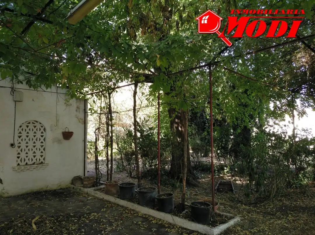 Jardí de Residencial en venda en La Zubia