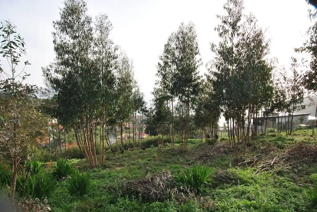 Residential land for sale in N/A, imagen 26