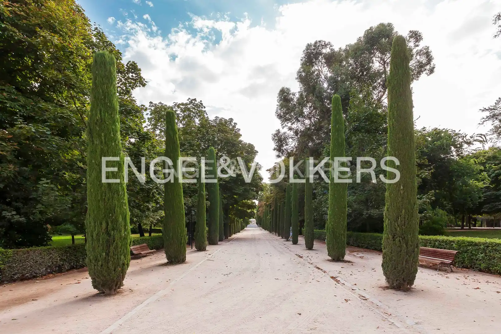 Flat with lift to rent in Doctor Castelo, imagen 29