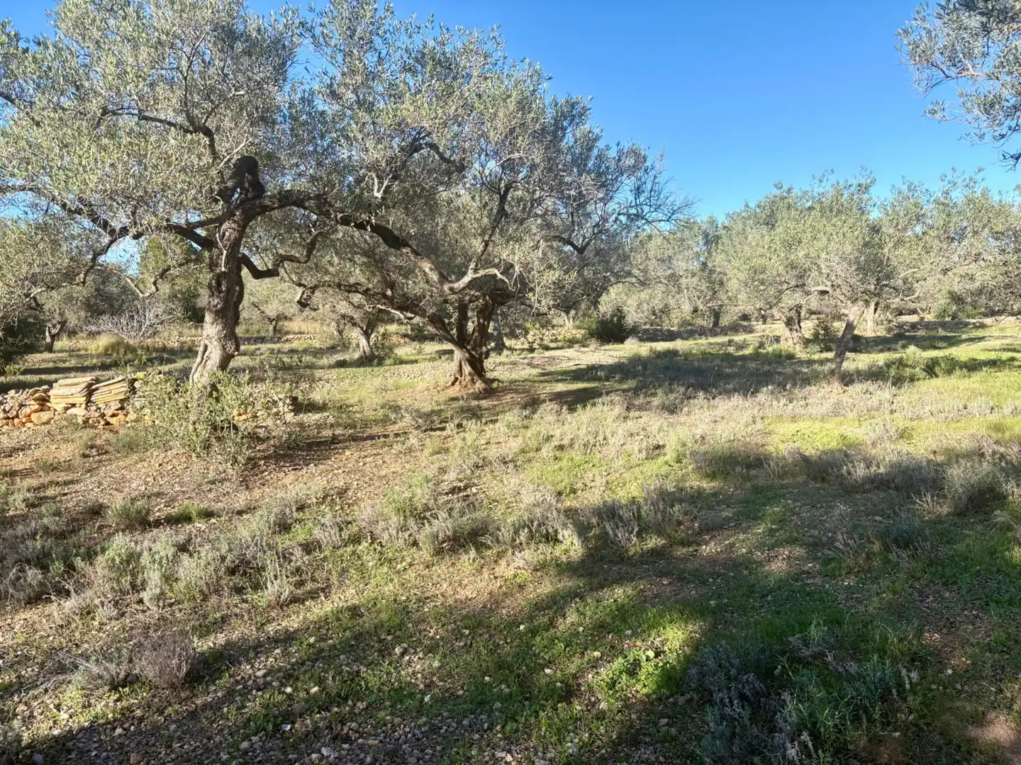 Casa en venta en L'Ampolla, imagen 31