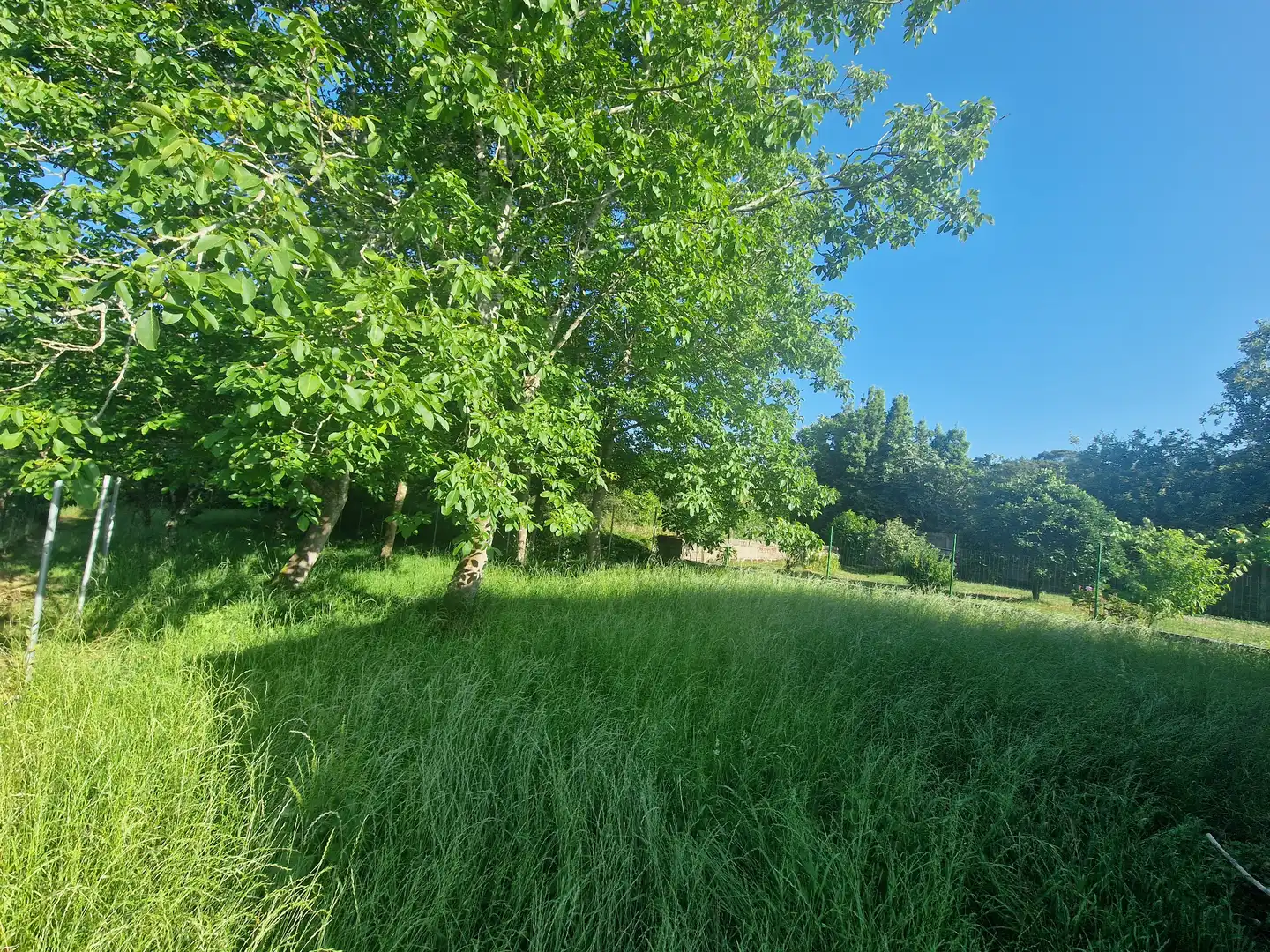 Wohnung mit Garten zum Verkauf in Piñeiros- Freixeiro, imagen 15
