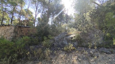 Finca rústica con maset en Valderrobres, immagine 3