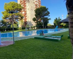 Piscina de Pis de lloguer en La Pobla de Farnals amb Aire condicionat, Terrassa i Balcó